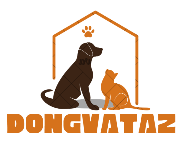 dongvataz.com