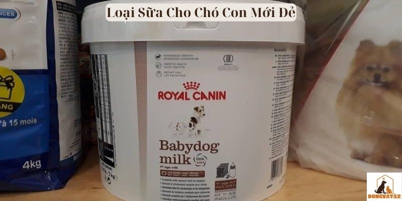 Loại Sữa Cho Chó Con Mới Đẻ